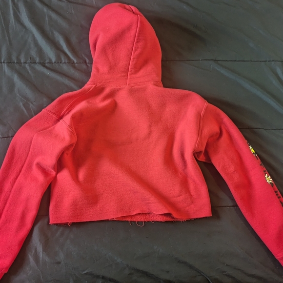 Half Wits Cropped Hoodie - Picture 3 of 3